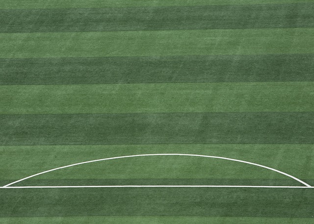 了归化球员 了归化球员