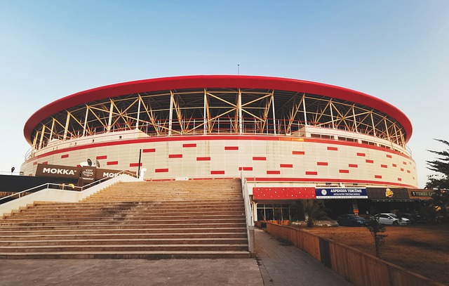 合約的延續 合約的延續