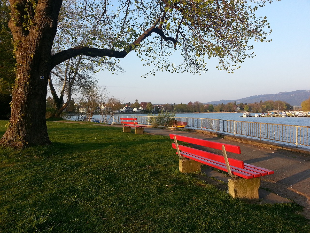 受关注的顶 受关注的顶