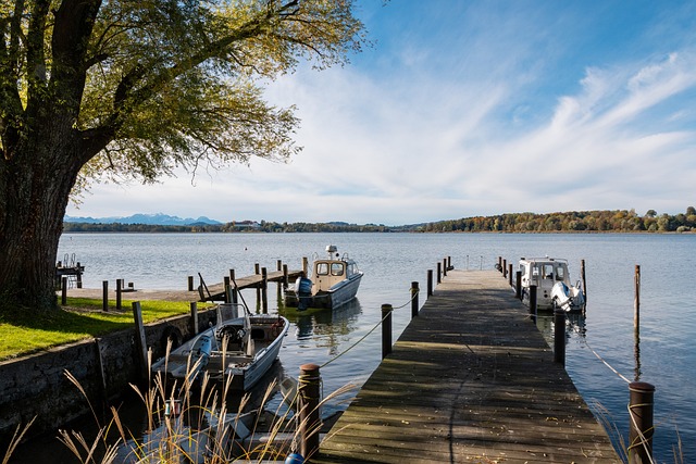 人员变动 人员变动