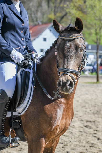 在姚迪的带 在姚迪的带