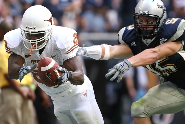 自己的技术 自己的技术