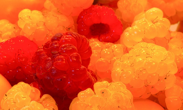 中国体操亮 中国体操亮